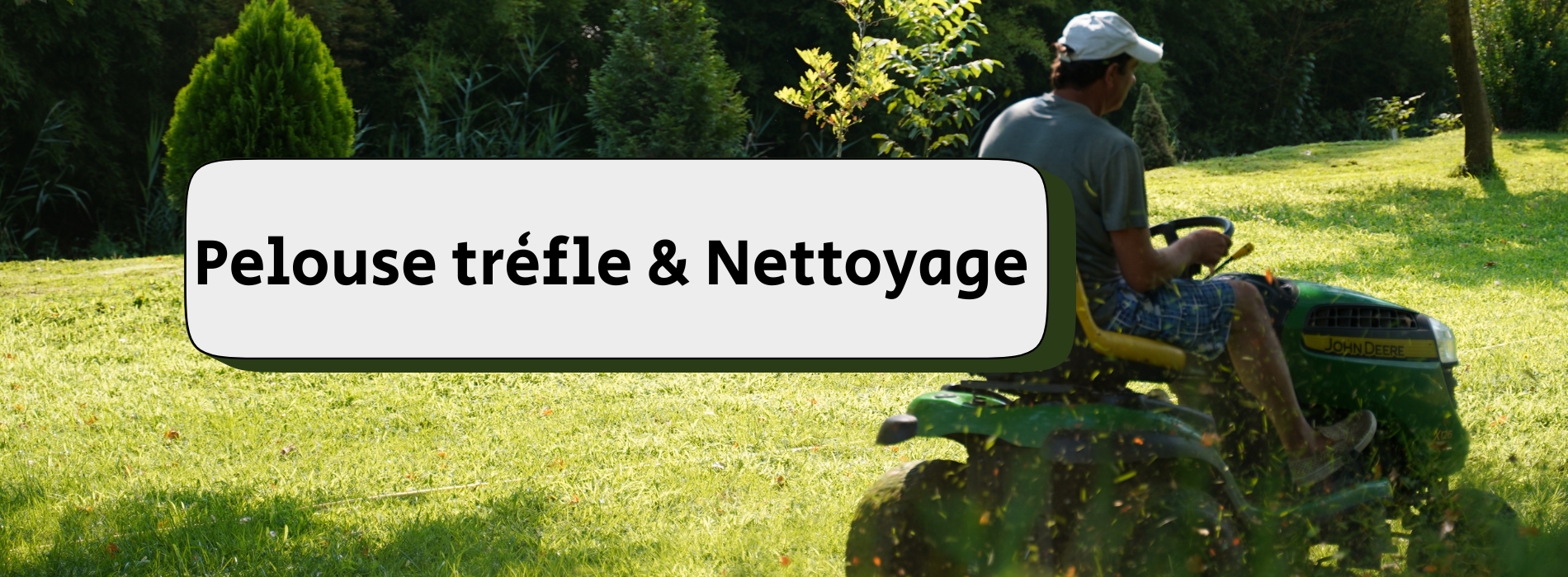 comment nettoyer une pelouse trèfle