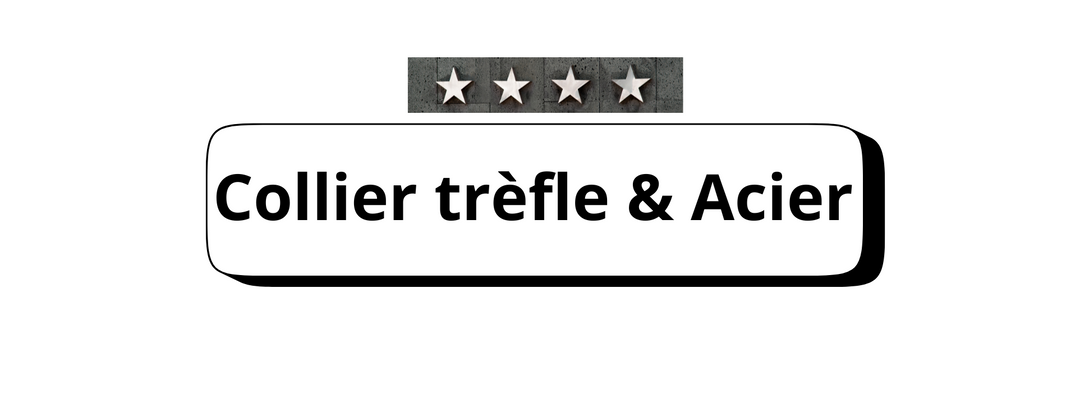 Collier Trèfle en Acier Inoxydable : Élégance et Durabilité au Quotidien